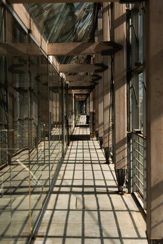 ENSA Lyon coursive intérieure