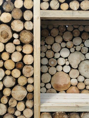 Flying classroom 2022