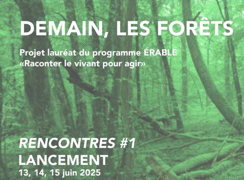 Forêt