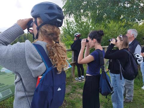 étudiants en observation à l'aide de jumelles
