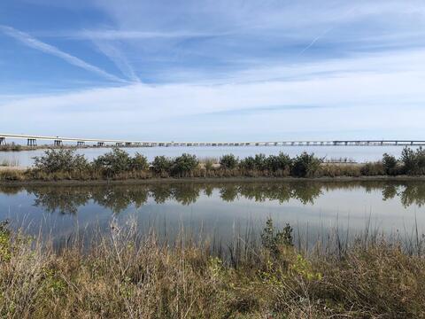 eau, ciel bleu et végétation 