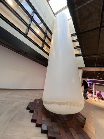 Structure gonflable plein jour