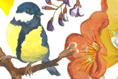 oiseau sur branche dessiné