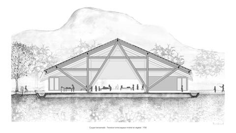 Coupe transversale - Transition entre espace minéral et végétal - 1/50