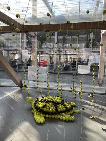 Tortue en balle de tennis