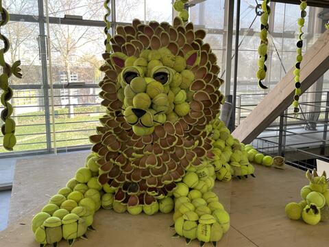 Lion en balle de tennis