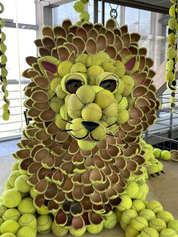 Lion en balle de tennis