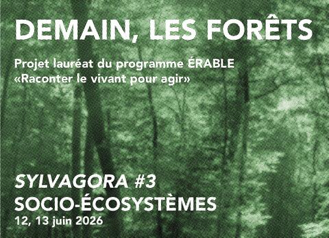 Demain les forêts, 3