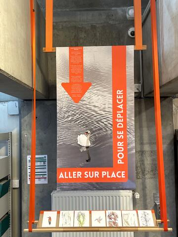 travauxetds_allersurplace_pernel_l3